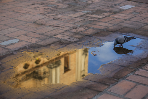 Thumbnail Image 1